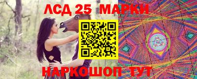 гидра Боровичи
