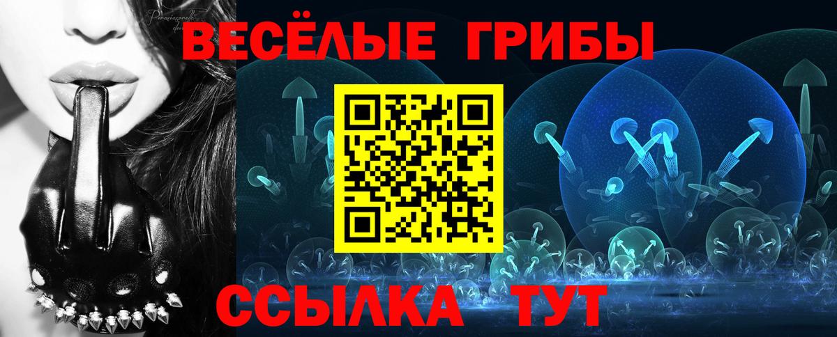 Галлюциногенные грибы Magic Shrooms Вышний Волочёк